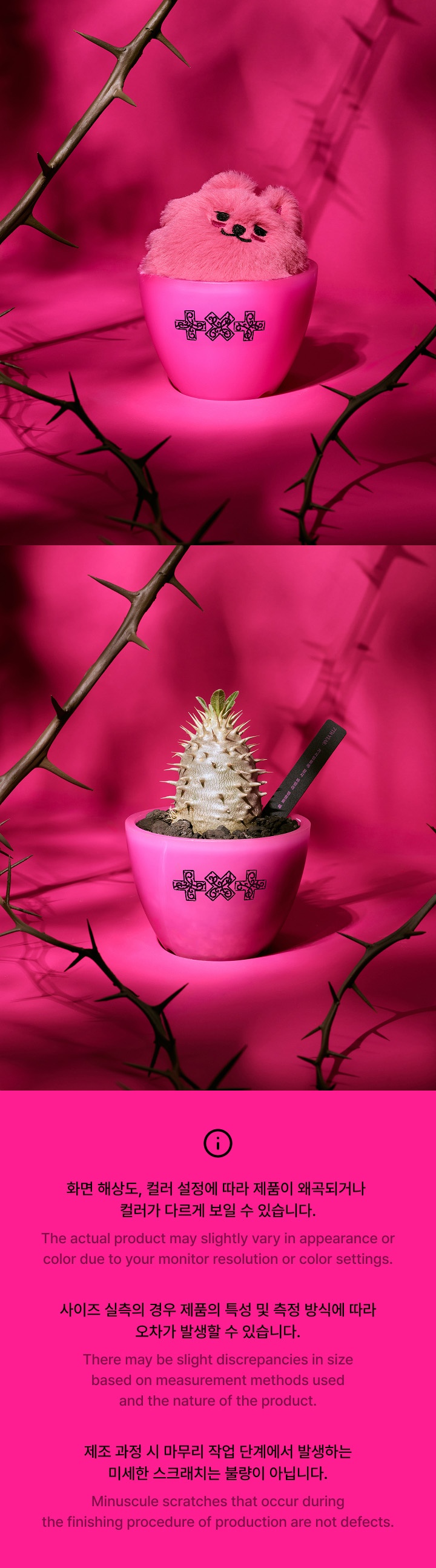 [TXT X GORE PLANT SEOUL] Pot 2 detail