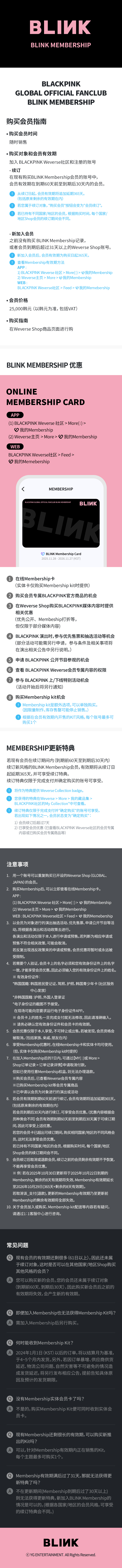 BLINK MEMBERSHIP 3 detail