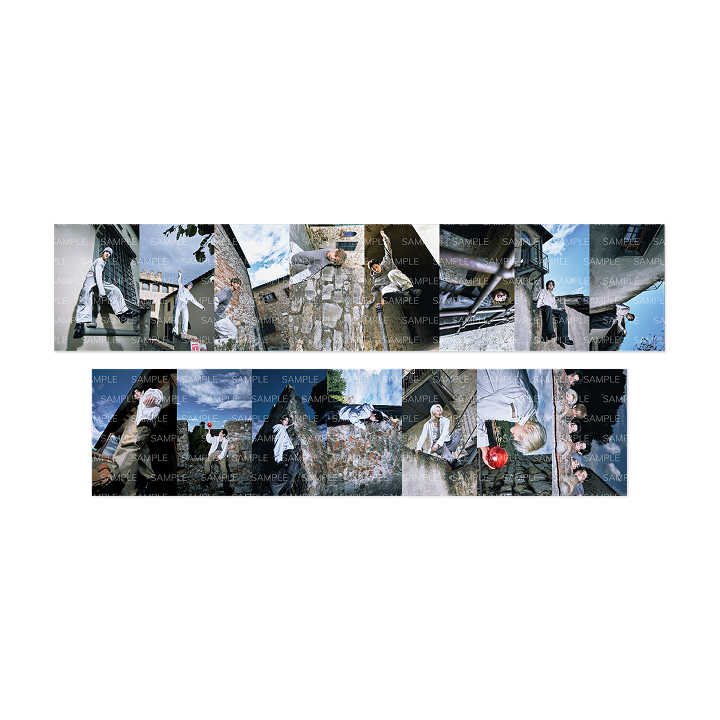 [THE SIN : VANISH]Printed Photo