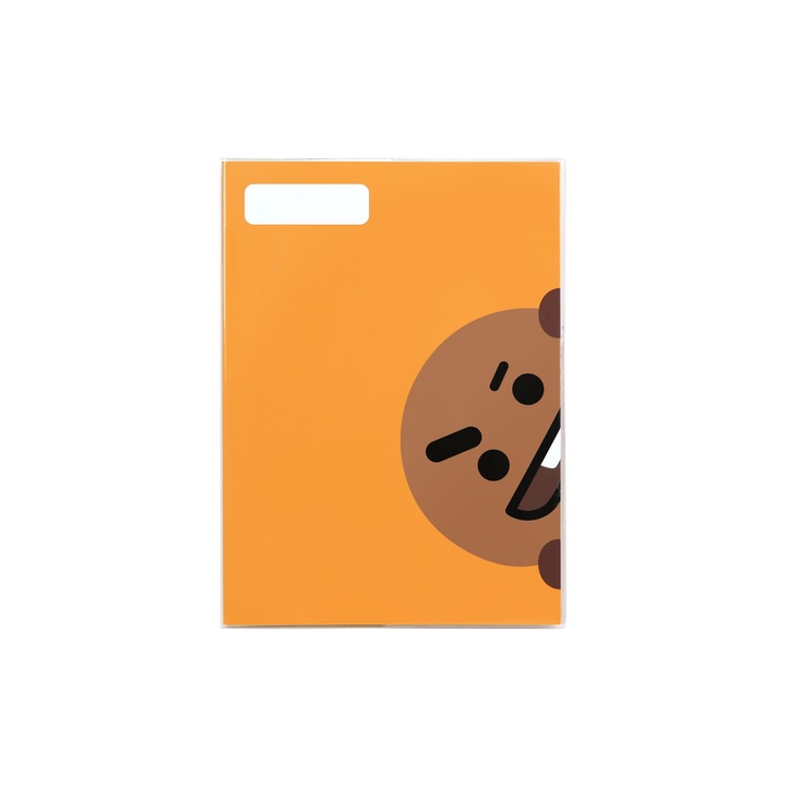 SHOOKY Schooling Note Set 2 detail
