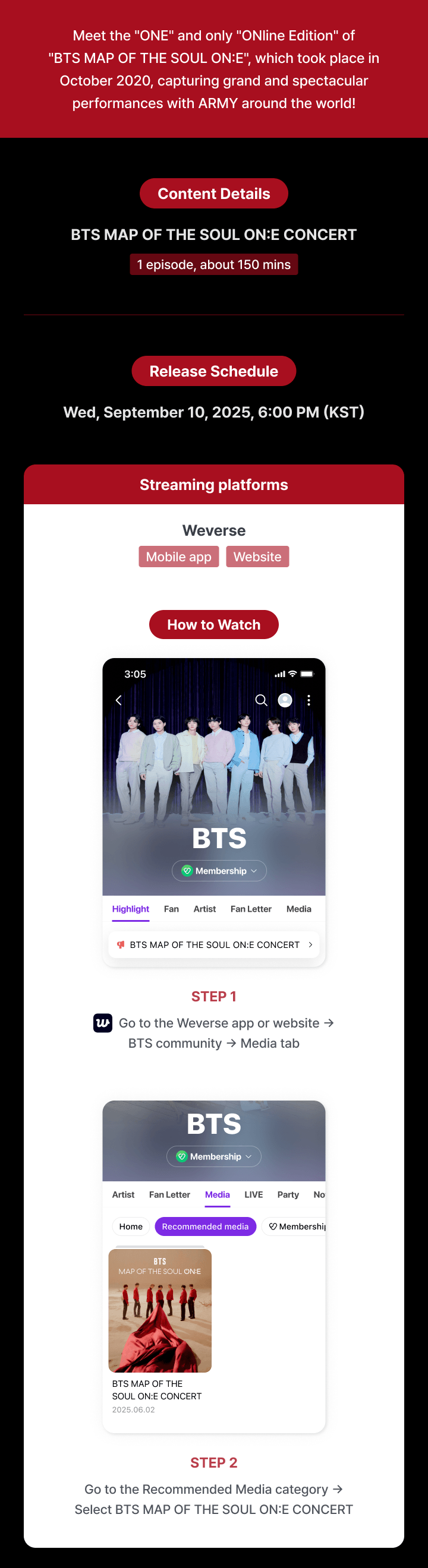 BTS MAP OF THE SOUL ON:E CONCERT 1 detail