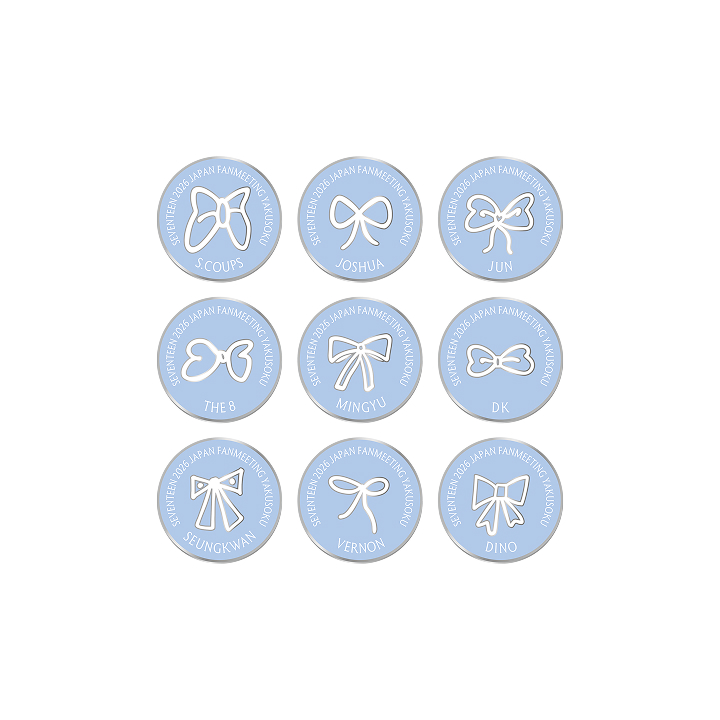SEVENTEEN | Pins