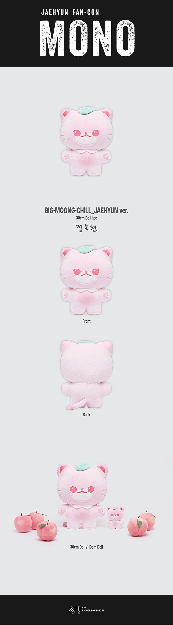 BIG-MOONG-CHILL_JAEHYUN ver. 0 detail