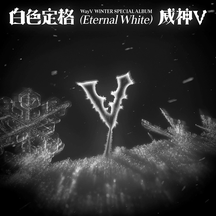 Winter Special Album [白色定格 (Eternal White)] (Photo Book Ver.) Random 0 detail