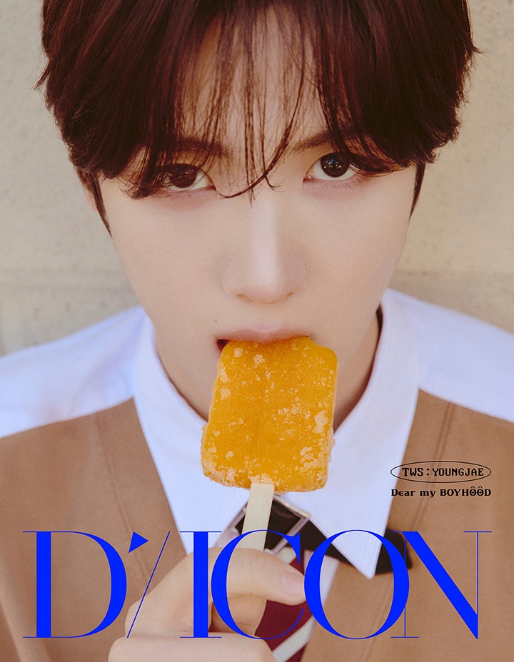 DICON VOLUME N°34 TWS DEAR MY BOYHOOD (YOUNGJAE) 2 detail