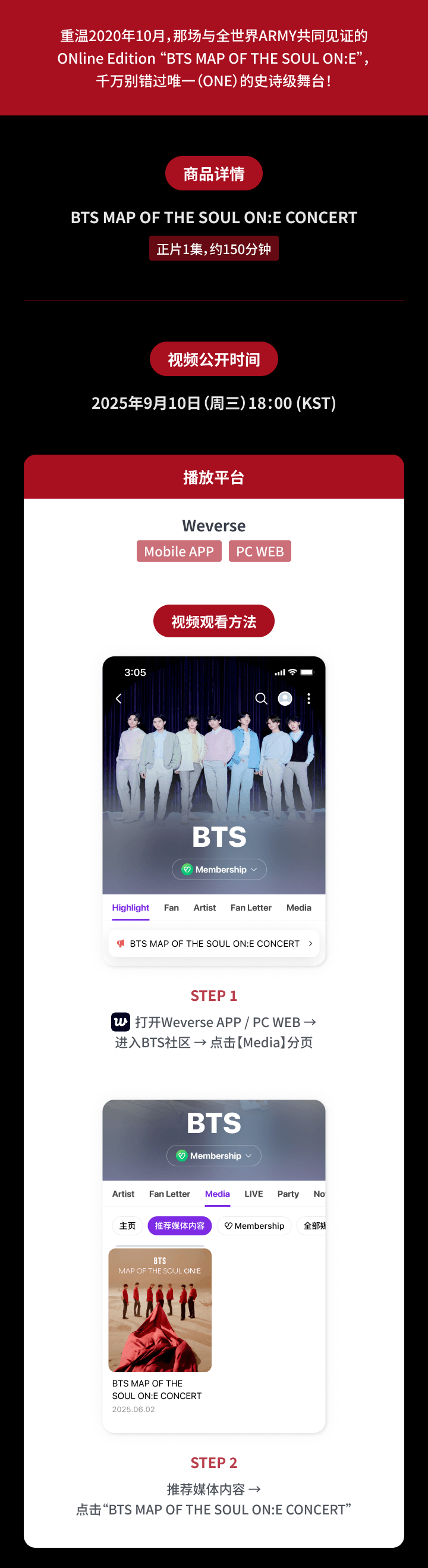 BTS MAP OF THE SOUL ON:E CONCERT 1 detail