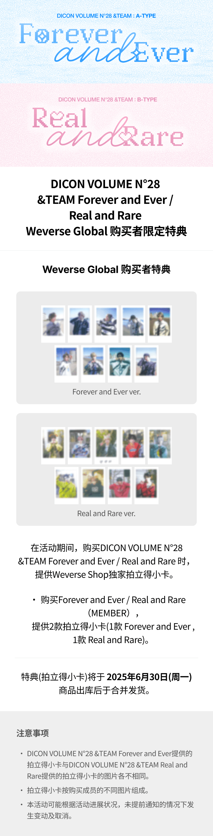 DICON VOLUME N°28 &TEAM Forever and Ever / Real and Rare (YUMA) 0 detail