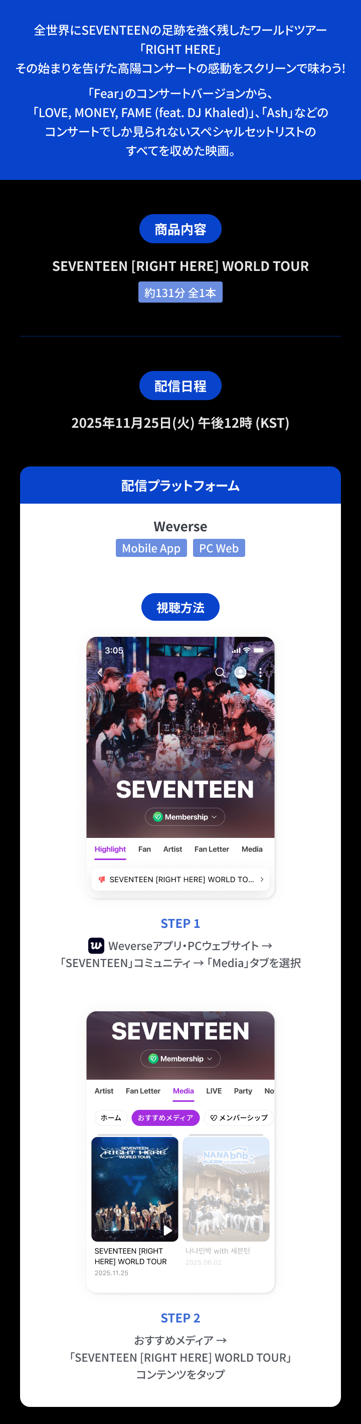 SEVENTEEN [RIGHT HERE] WORLD TOUR 1 detail