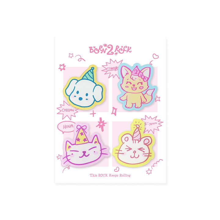 Acrylic Magnet Set (4 Pieces)