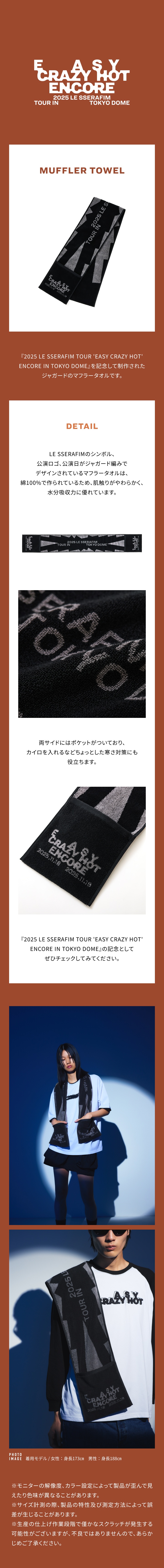[11/19(水)受け取り]MUFFLER TOWEL 1 detail