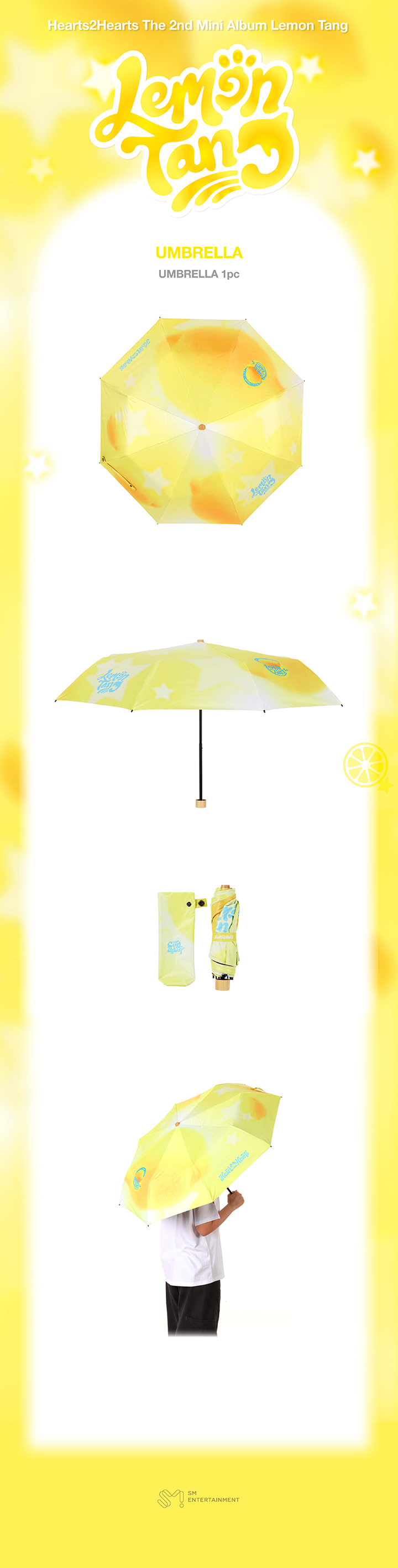 UMBRELLA 1 detail