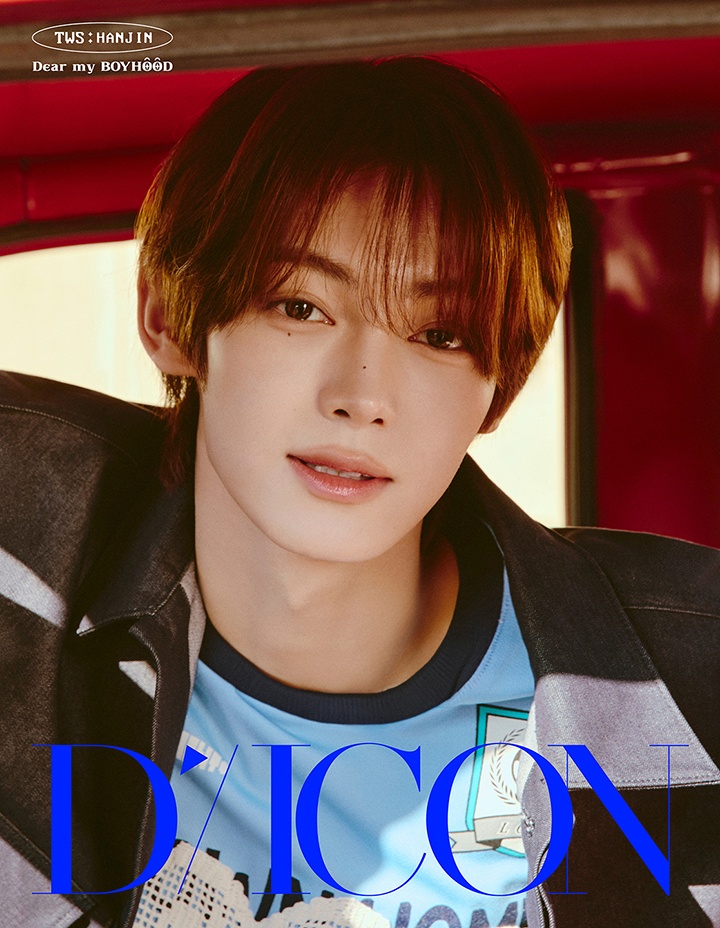 DICON VOLUME N°34 TWS DEAR MY BOYHOOD (HANJIN) 2 detail