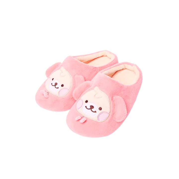 EXO | ROOM SHOES