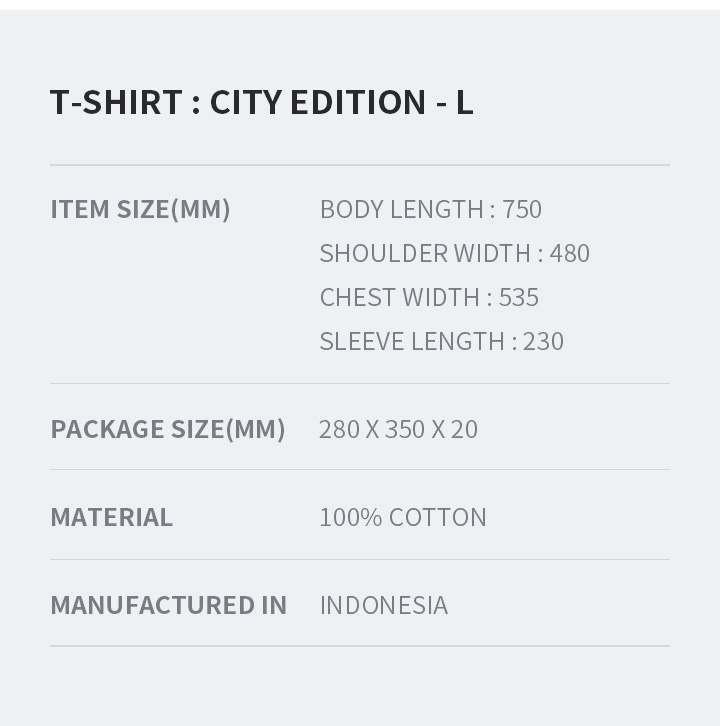 [MOS TOUR] T-SHIRT : CITY EDITION L 5 detail