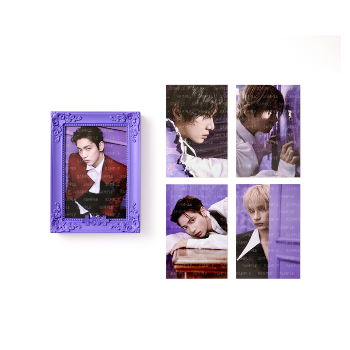 [7TH YEAR: A Moment of Stillness in the Thorns]PHOTO FRAME & PHOTO SET