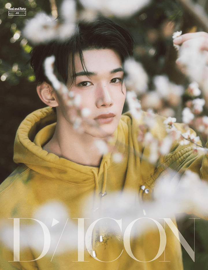 DICON VOLUME N°28 &TEAM Forever and Ever / Real and Rare (JO) 3 detail