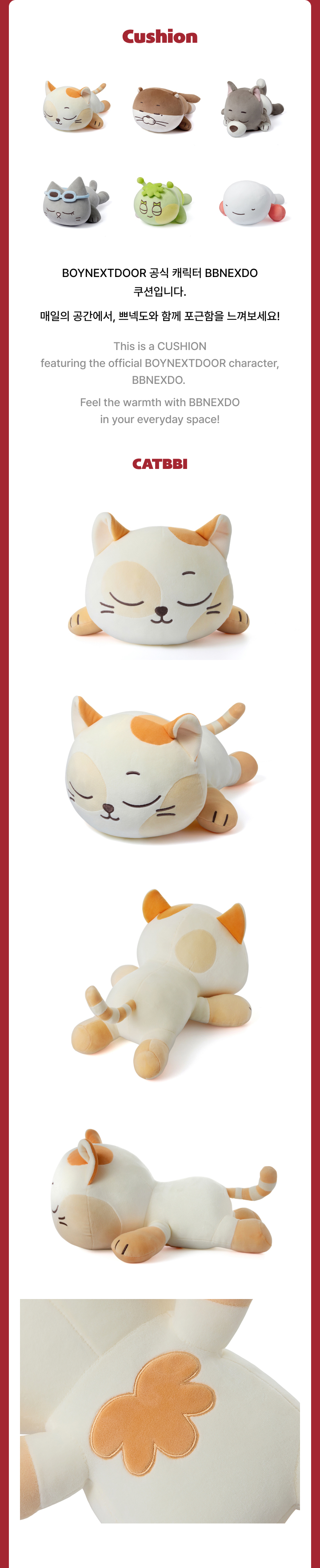 BOYNEXTDOOR | Cushion