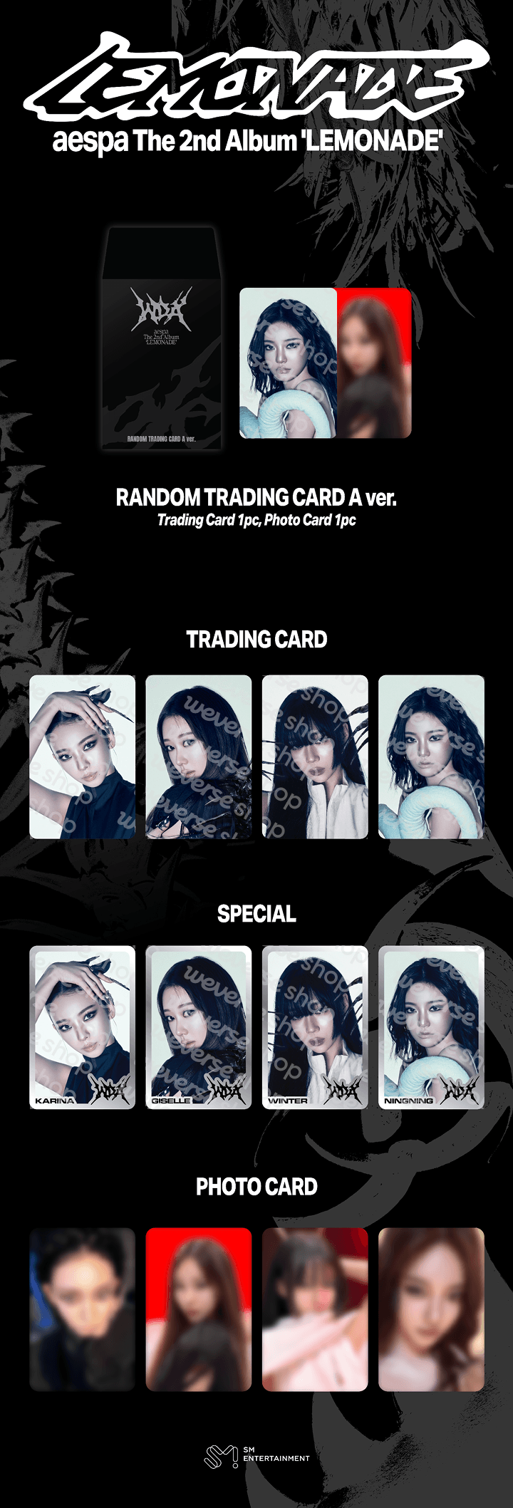 RANDOM TRADING CARD_A ver. 1 detail