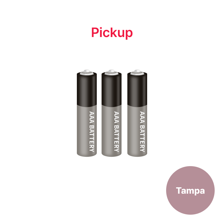 BTS | [TAMPA] AAA Batteries