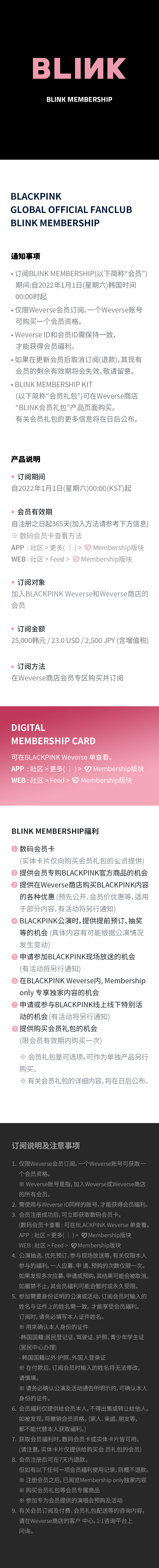 BLINK MEMBERSHIP 3 detail
