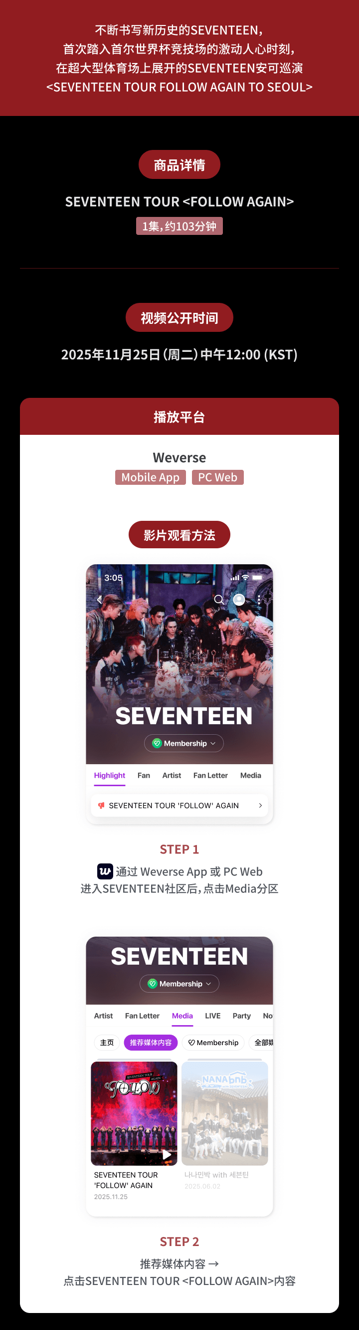 SEVENTEEN TOUR 'FOLLOW' AGAIN 1 detail