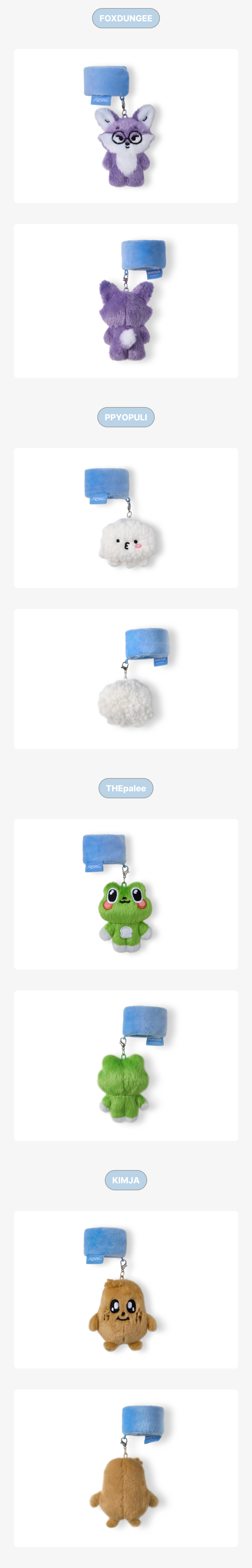 Seventeen NEW_ Tour Merch - MINITEEN Deco Band