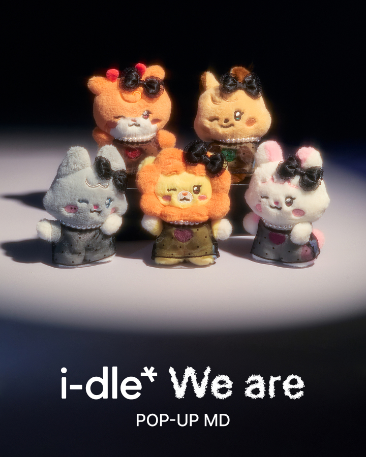 i-dle (아이들) | i-dle We are PVC PHOTO CARD HOLDER STAND