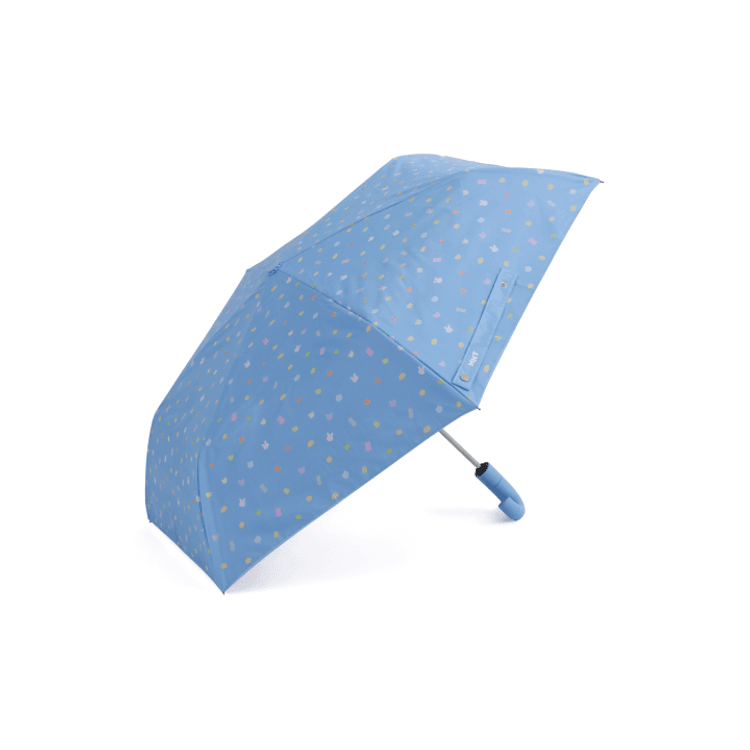 SEVENTEEN — Umbrella