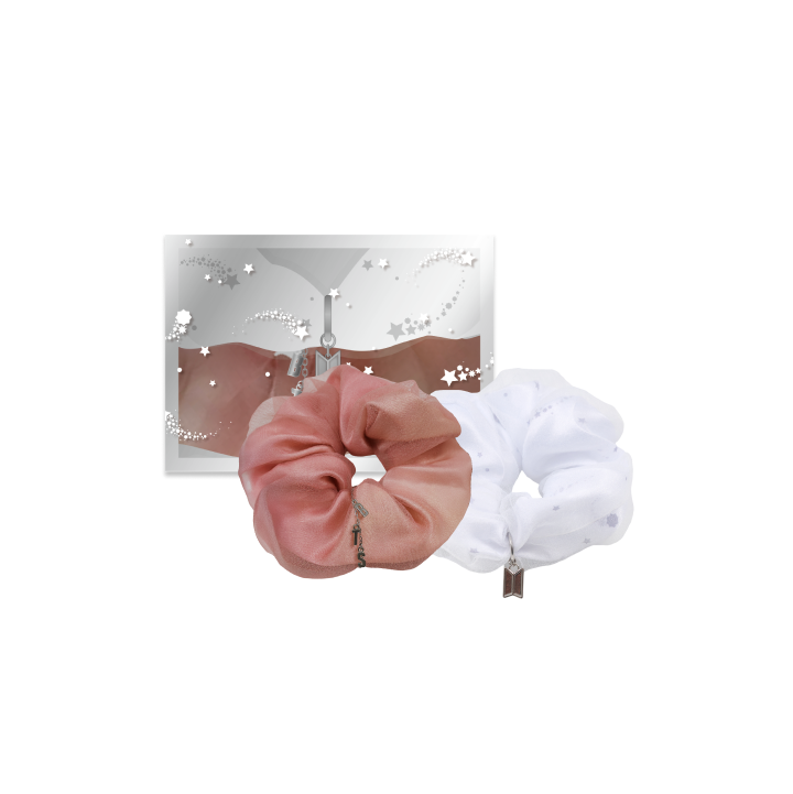 BTS FESTA 2025 Organza Scrunchie シュシュ BTS | [2025 BTS FESTA x Weverse] Organza Scrunchie Set for Noon