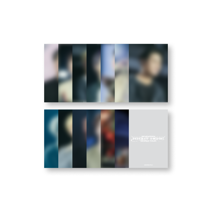 SEVENTEEN [RIGHT HERE] WORLD TOUR GIFT