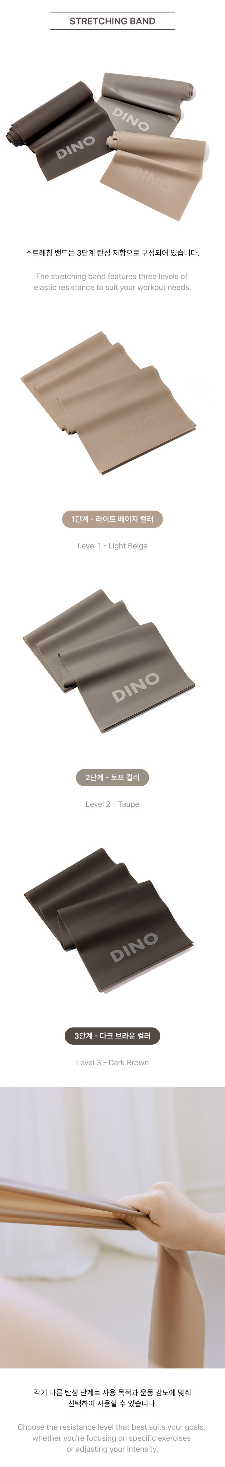 HAPPY DINO DAY [FITNESS SET] 2 detail