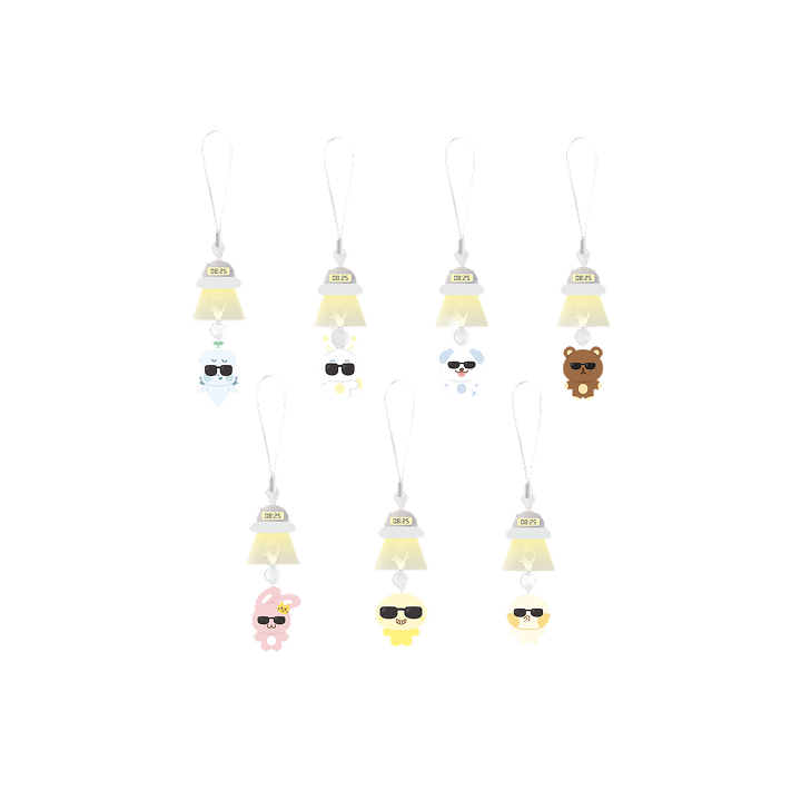 CHARACETR RESIN KEY RING