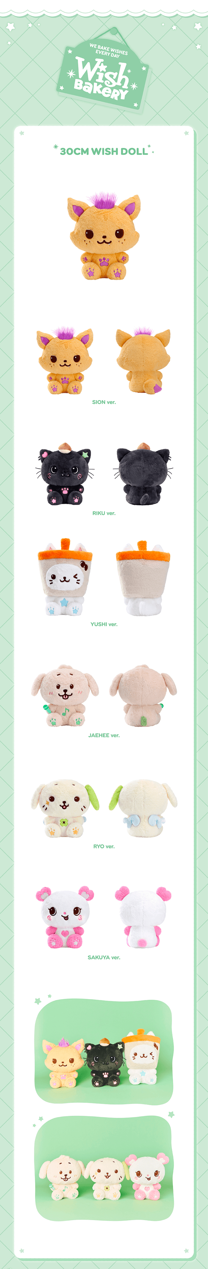 30CM WISH DOLL 1 detail
