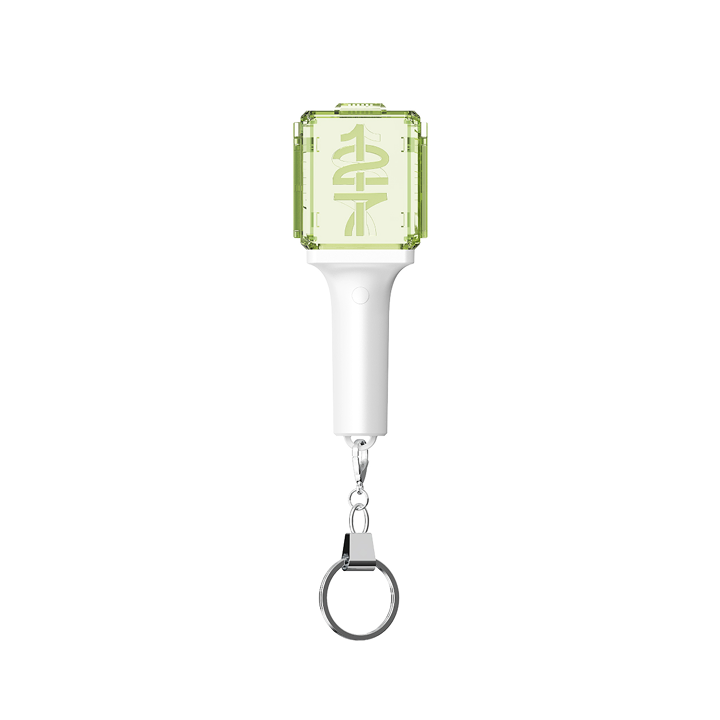 専用 NCT127 NCT 127 | MINI FANLIGHT KEYRING