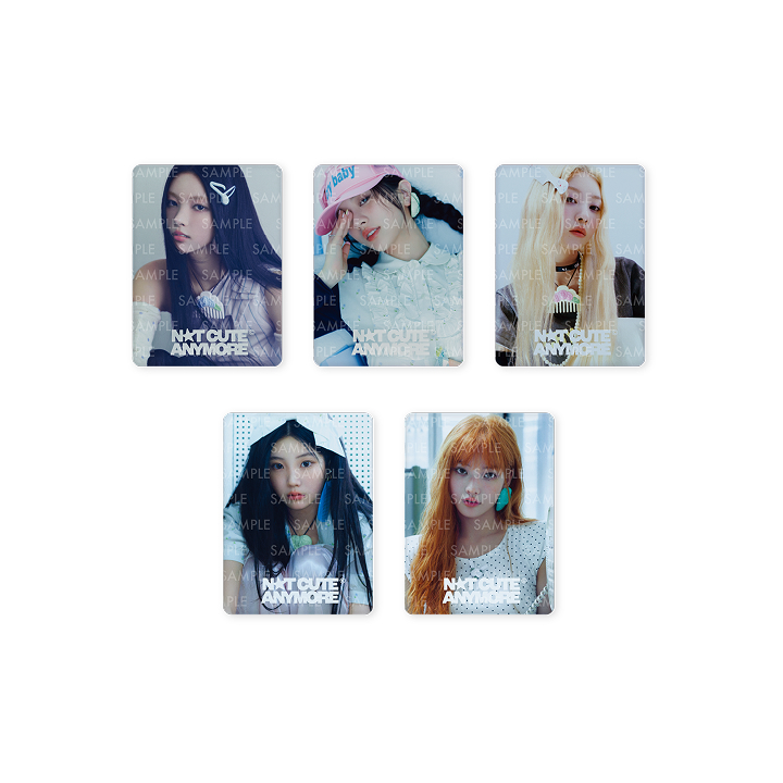 [NOT CUTE ANYMORE]PHOTO MAGNET SET