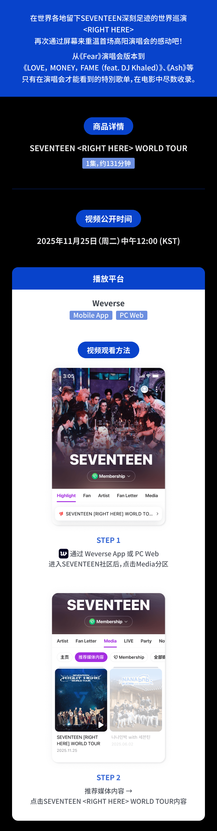 SEVENTEEN [RIGHT HERE] WORLD TOUR 1 detail