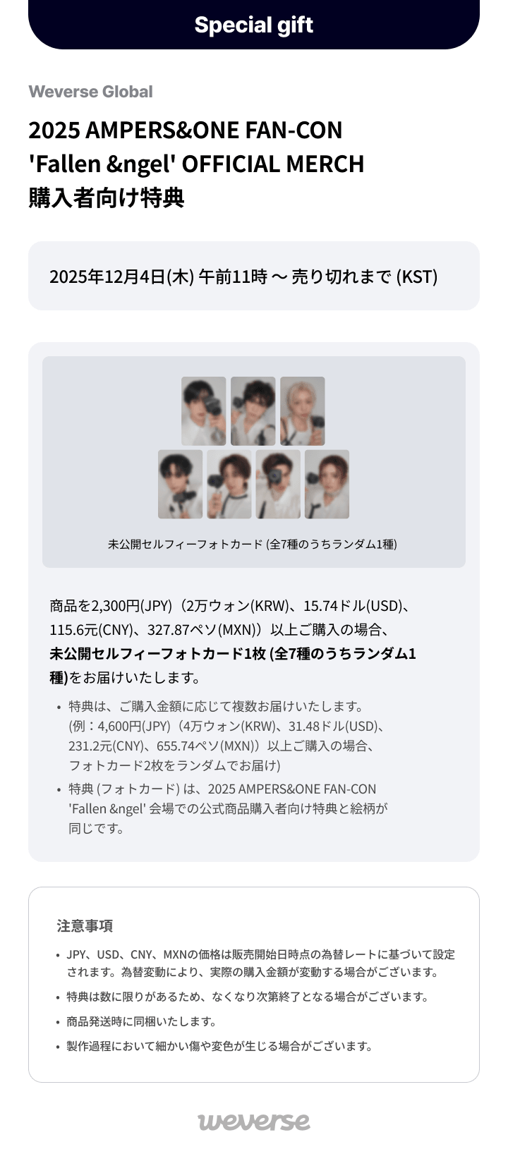 [Fallen &ngel] PHOTO POUCH SET 0 detail