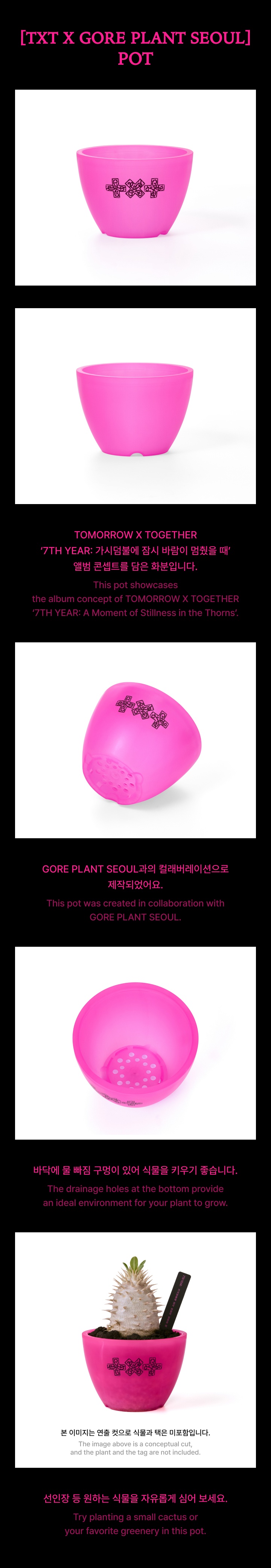 [TXT X GORE PLANT SEOUL] Pot 1 detail