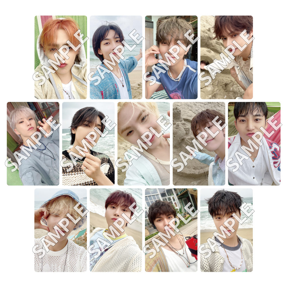 seventeen weverse standard 特典トレカ2set26枚
