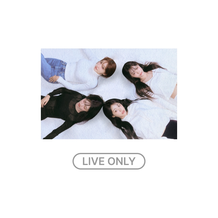 Weverse Con Festival QWER ジムサック 新品未使用 代購2025 Weverse Con Festival Merch官方周邊📅預購期限：現在