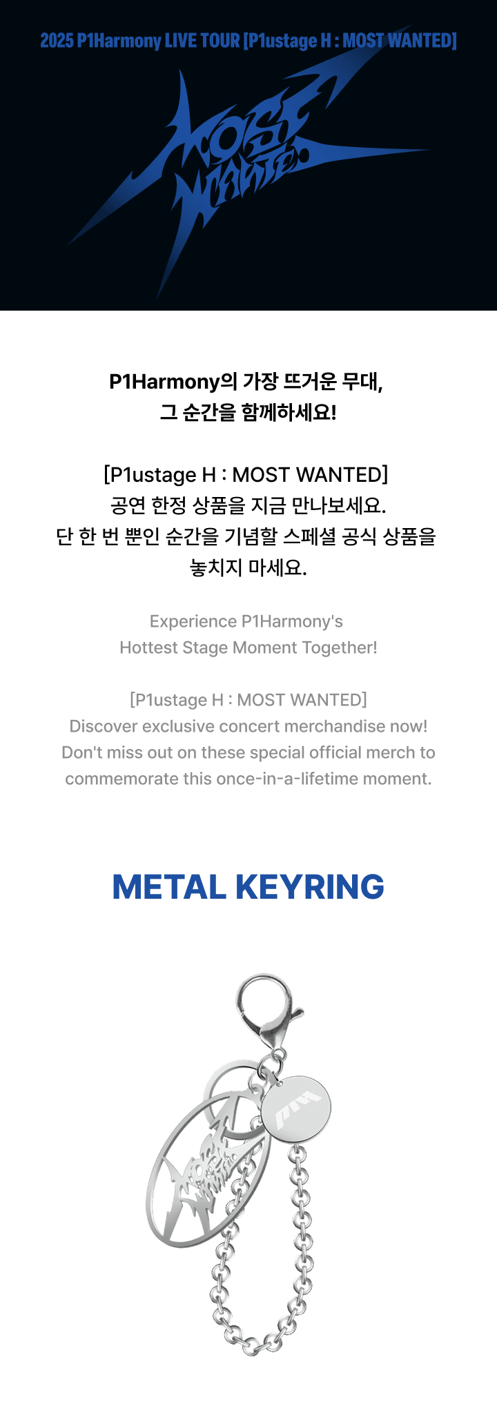 METAL KEYRING 0 detail