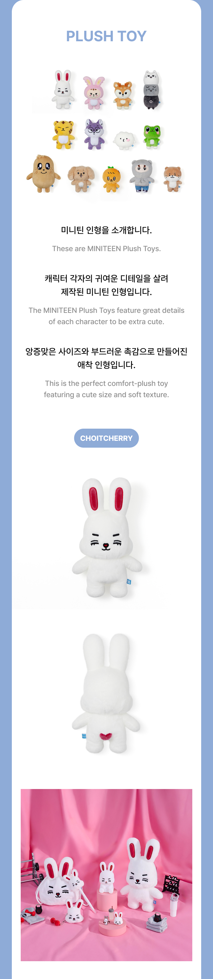 SEVENTEEN | Plush Toy
