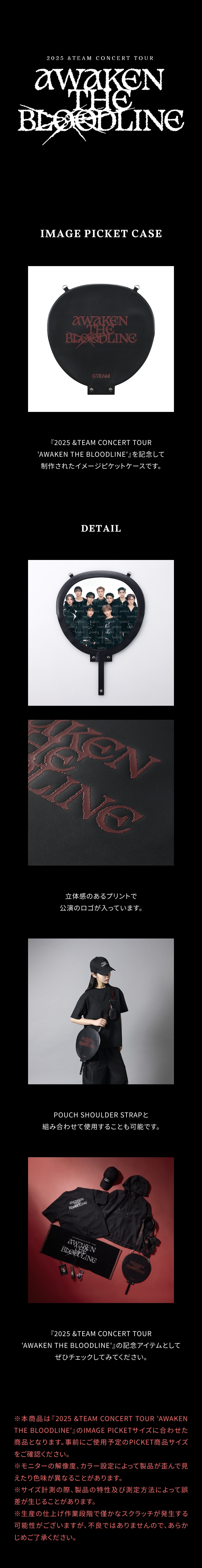 &TEAM | [AWAKEN THE BLOODLINE] IMAGE PICKET CASE