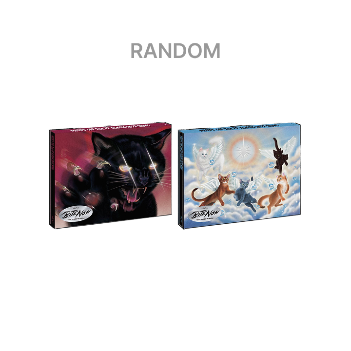 THE 2nd EP ALBUM [BITE NOW] PHOTOBOOK ver. (Random), listed by the store