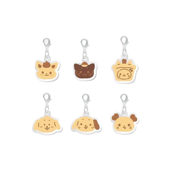 RANDOM MINI ACRYLIC CHARM