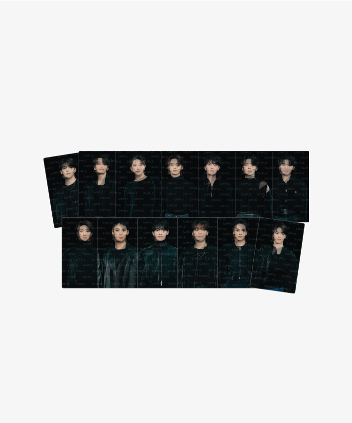 TWS LENTICULAR PHOTOCARD 22枚セット SEVENTEEN | Lenticular Photo Card Set