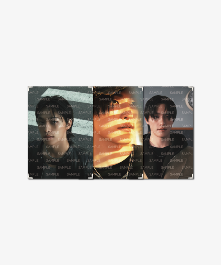 SEVENTEEN | Premium Photo