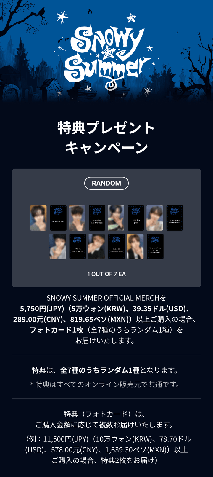 [SNOWY SUMMER] CARABINER KEYRING_SEO KYOUNGBAE 0 detail