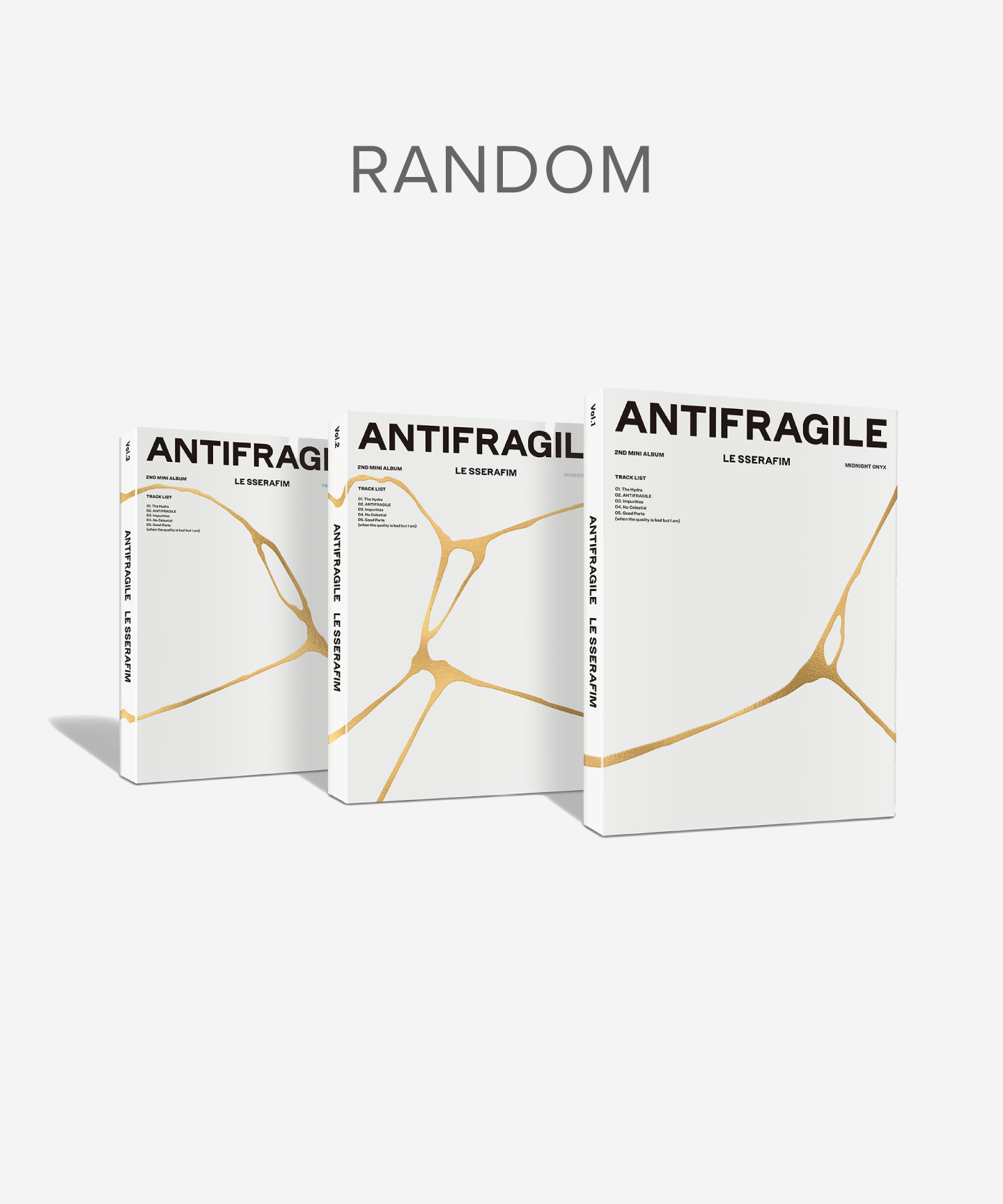 単品ランダム ‘ANTIFRAGILE’