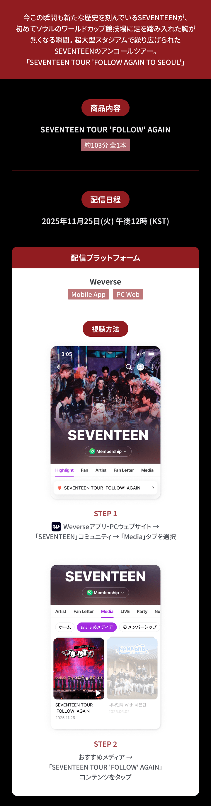 SEVENTEEN TOUR 'FOLLOW' AGAIN 1 detail